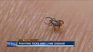 Ask the Expert: Fighting ticks and lyme disease