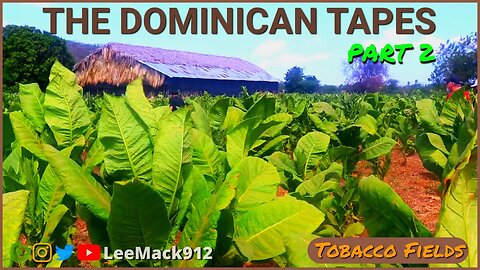 LeeMack912 2023 The Dominican Tapes Part 2 | #leemack912 (S09 E26)