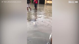 Nigéria sofre com inundações catastróficas
