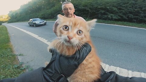 Biker saves a kitten stranded in the highway