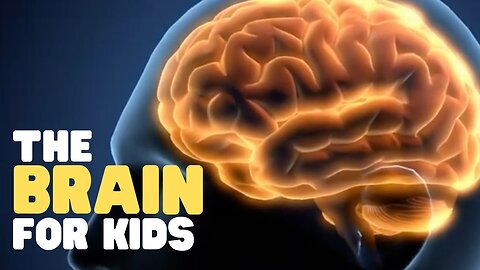 The Brain for Kids