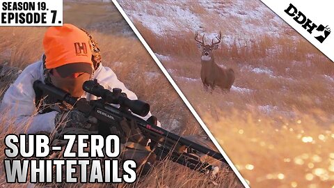 Sub-Zero Whitetails | Deer & Deer Hunting TV