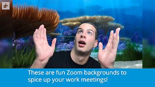 Fun Zoom Backgrounds