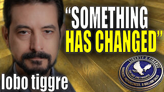 "Something Has Changed" In Gold Market | Lobo Tiggre