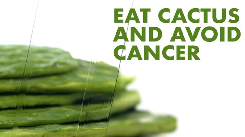 Eat cactus and avoid cancer.