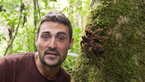 Searching For The Amazon's Most Dangerous Animal |BEASTLY ENCOUNTERS