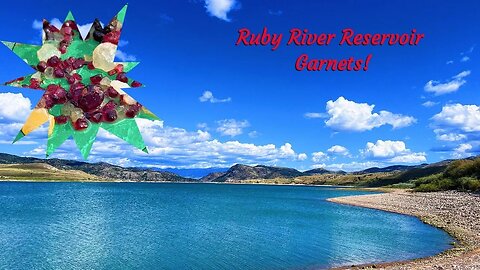 Ruby River Reservoir Garnets!