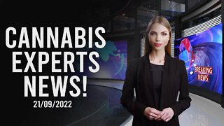 Cannabis NEWS: 21/09/2022