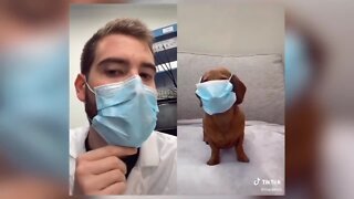 University at Buffalo student uses Tik Tok to spread educational science videos