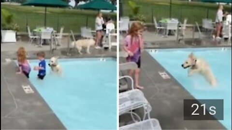 Happy pup is absolutely ecstatic for first pool party