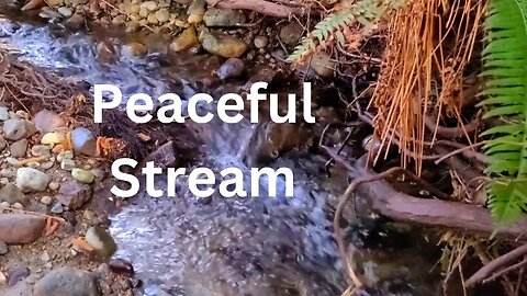 (audio)Enjoy the soothing sounds of a gentle stream in Beachcomber.