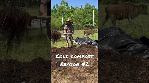 2 Reasons Your Compost WON’T Get Hot!