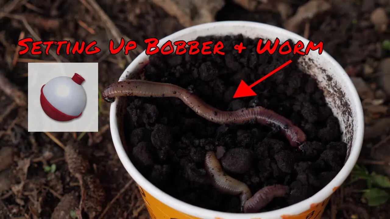 Trout Fishing Worms  How To Set Up Bobber & Worm For Trout