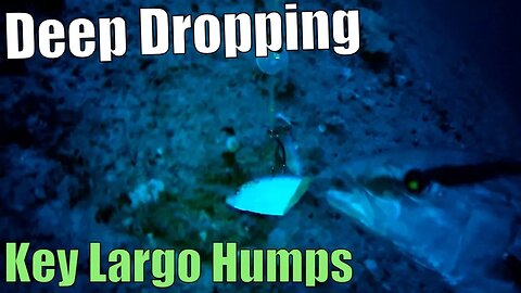 Deep Dropping the Key Largo Humps in Rough Conditions | Catch N Cook