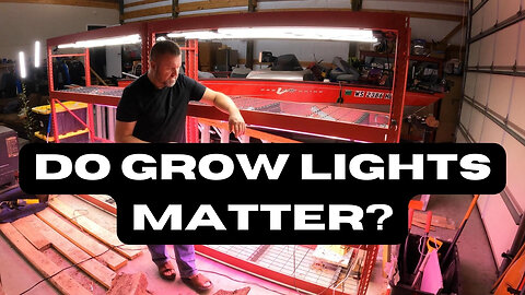 Different Types of Grow Lights Compared. Does it matter for seed starting?