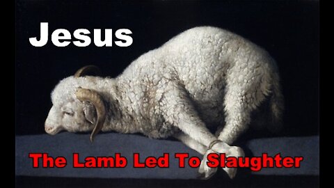 Lamb Led To The Slaughter - Communion #90