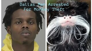 Man Arrested For Stealing 2 Monkeys from Dallas Zoo