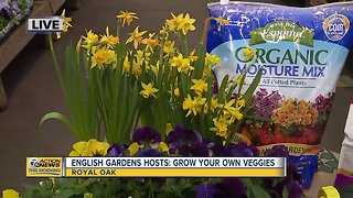 Gardening Tips from English Gardens