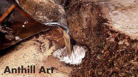 Craziest Cast Yet! – Casting an Ant Colony in a Stump with Molten Aluminum (Cast #121)
