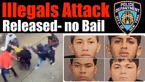 Assault Cops, as an Illegal Alien, and Communists will Release you With ZERO Bail
