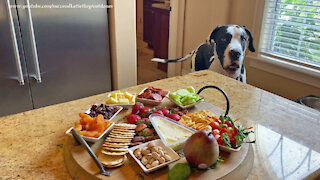 Great Danes Checks Out Charcuterie Board AKA Fancy Cheese And Crackers