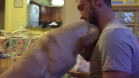 Adorable Guilty Dog Tries to Apologize for Making a Mistake