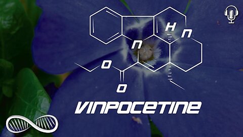 Vinpocetine: A vasodilating nutraceutical (and negative Nootropic for some...)