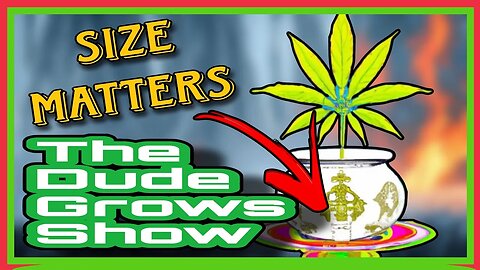 Optimizing Your Cannabis Container: Tips & Tricks for Healthy Growth - The Dude Grows Show 1470