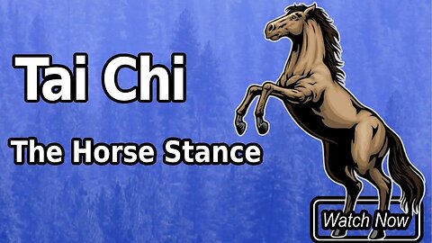 Mastering Tai Chi: Unleash Your Inner Strength with the Ultimate Horse Stance Technique
