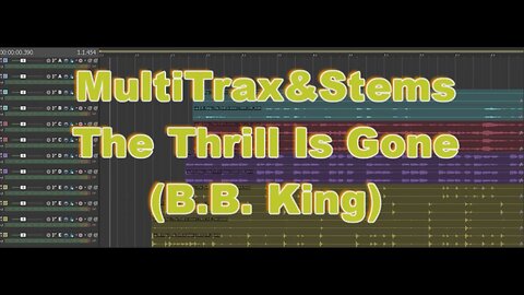 MultiTrax&Stems - The Thrill Is Gone (B.B. King)