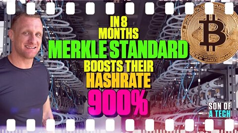 In 8 Months Merkle Standard Boots Their Hashrate By 900% - 205