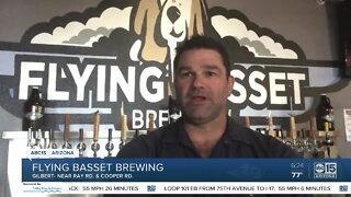 We're Open Arizona: Flying Basset Brewing in Gilbert