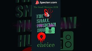 Choice By The Small Musician HUB