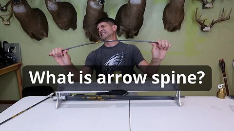 What is Arrow Spine