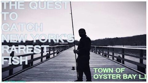 THE QUEST TO CATCH NEW YORK'S RAREST FISH #2