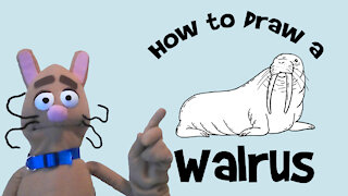 How to Draw a Walrus