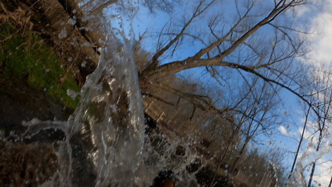 Short Spring Creek Trout Fishing (Fell in Cold Water)