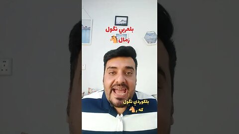 زمال 🐴 بلكوردي وبلتركماني ؟