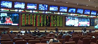 Las Vegas oddsmaker releases line on Nevada caucus, presidential election