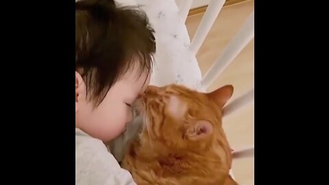 A cute cat kisses a small child on his head