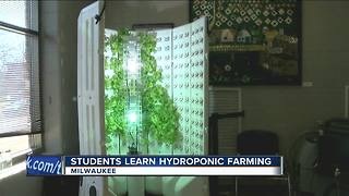 Students in Milwaukee learn hydroponic farming