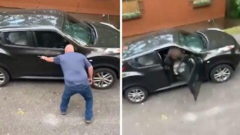 Brave man releases bear trapped in his car