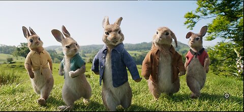 Petter Rabbit 1 Full Movie
