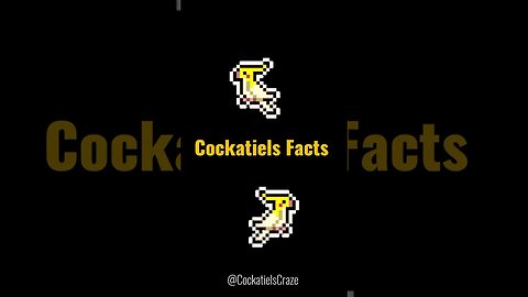Unlocking the Colorful World of Cockatiels: Lutino Fact Revealed! | Cockatiels Craze