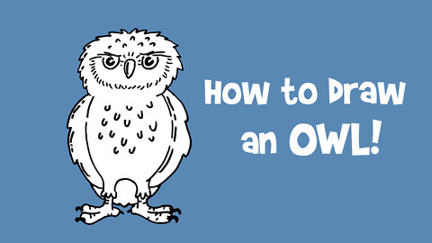 How to Draw and Owl!