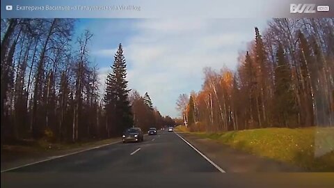Árvores caem em cima de carros numa estrada da Rússia
