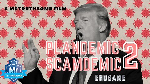Plandemic / Scamdemic 2 - ENDGAME - A Film By MrTruthBomb