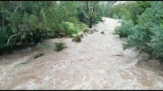 Rain causes flash flooding in Johannesburg (WD4)