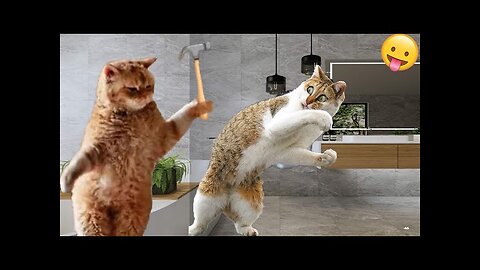 🫡World Best Funniest🤣Cat vs animal vs Kid 🤼‍♂️ Entertainment Don't Try Laughing 🤣 2024 clips 🫡