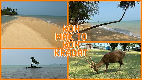 Koh Kradat - Day Trip From Koh Mak To See The Deer & 1 Tree Island - Thailand 2024